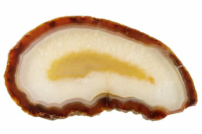 Polished, Banded Agate Slab - Brazil #279579